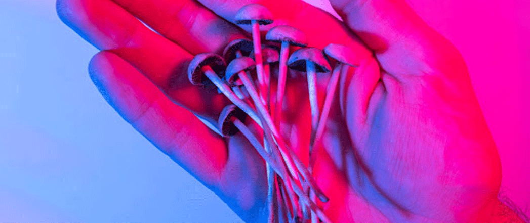 magic mushrooms legal colorado